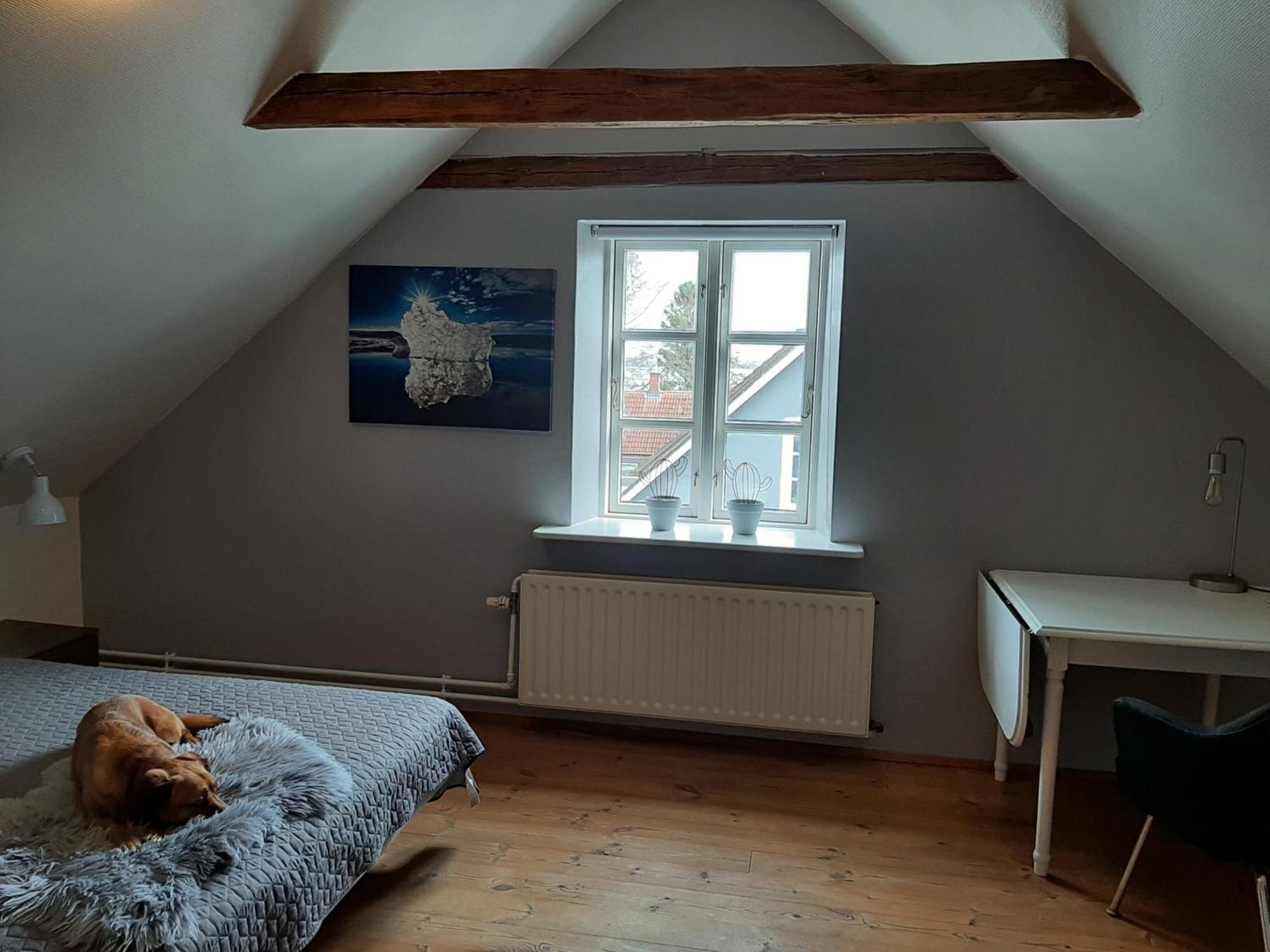 Stor Villa I Lendemarke Stege Extérieur photo